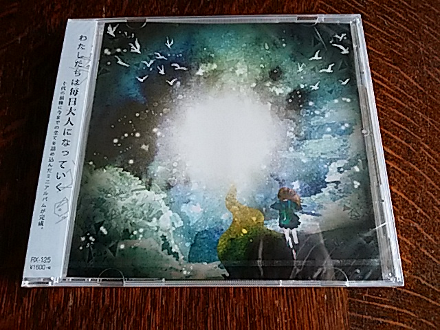 ★新品 Cettia|HIDE and SEEK拍卖