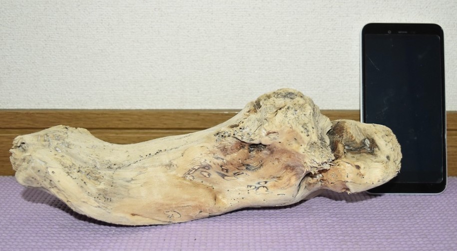 最大約30センチ幅 流木 インテリア アクアリウム 熱帯魚 苔リウム 水槽用流木 亀・爬虫類おやすみ所に拍卖