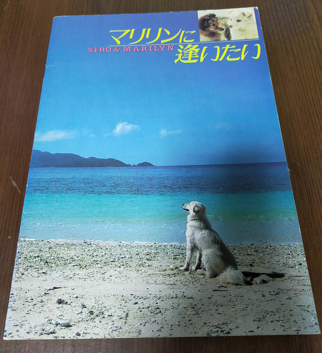 映画 マリリンに逢いたい パンフレット拍卖