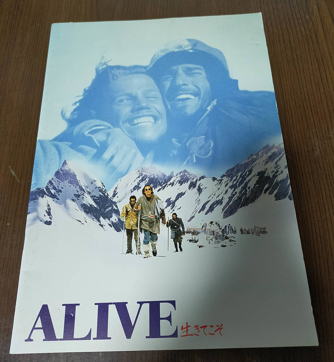 映画 ALIVE 生きてこそ パンフレット拍卖