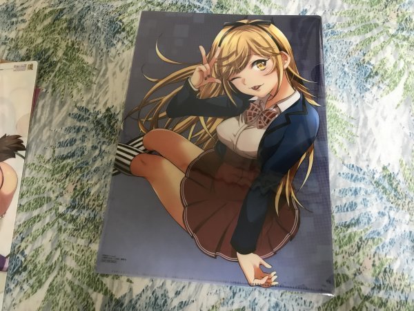 d112クリアファイル 終末のハーレム 2巻 とらのあな 特典 宵野コタロー LINK拍卖
