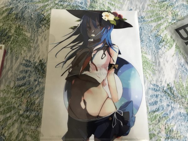 d112クリアファイル 東方Project 比那名居天子(真島てつろー) 博麗神社例大祭/あぶら畑グランテッド拍卖