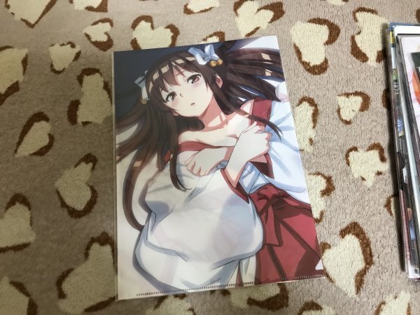 d112クリアファイル 因果応報!?悪巫女さん メロンブックス特典 さめだ小判拍卖
