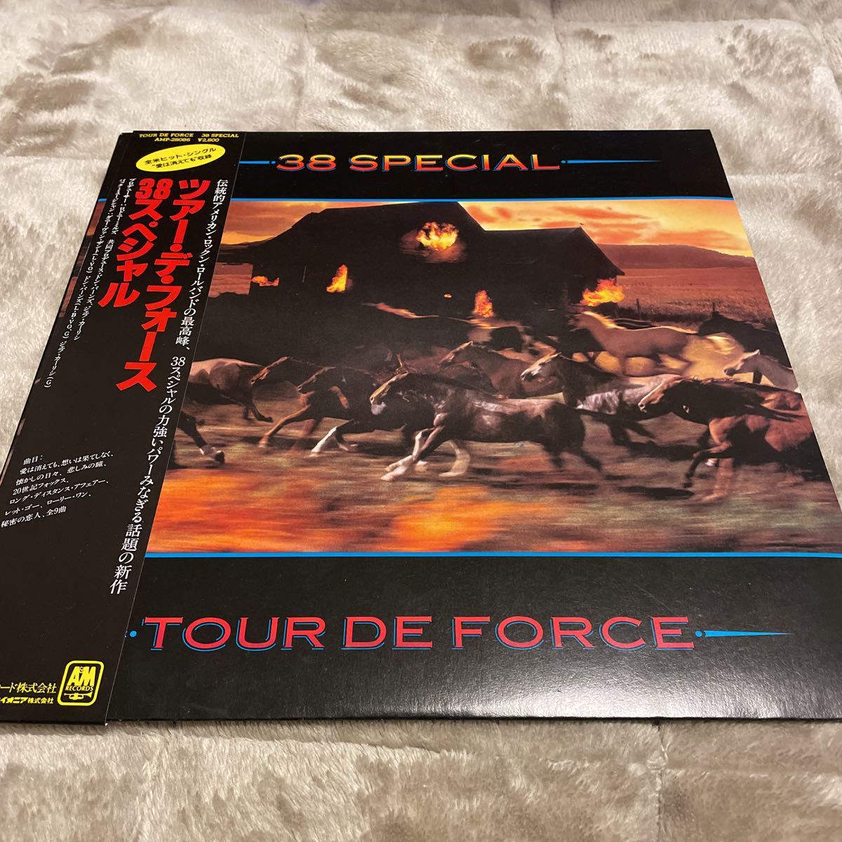 38スペシャル ツアー・デ・フォース 38 SPECIAL サザンロック アナログ盤LPレコード 帯付 美品拍卖