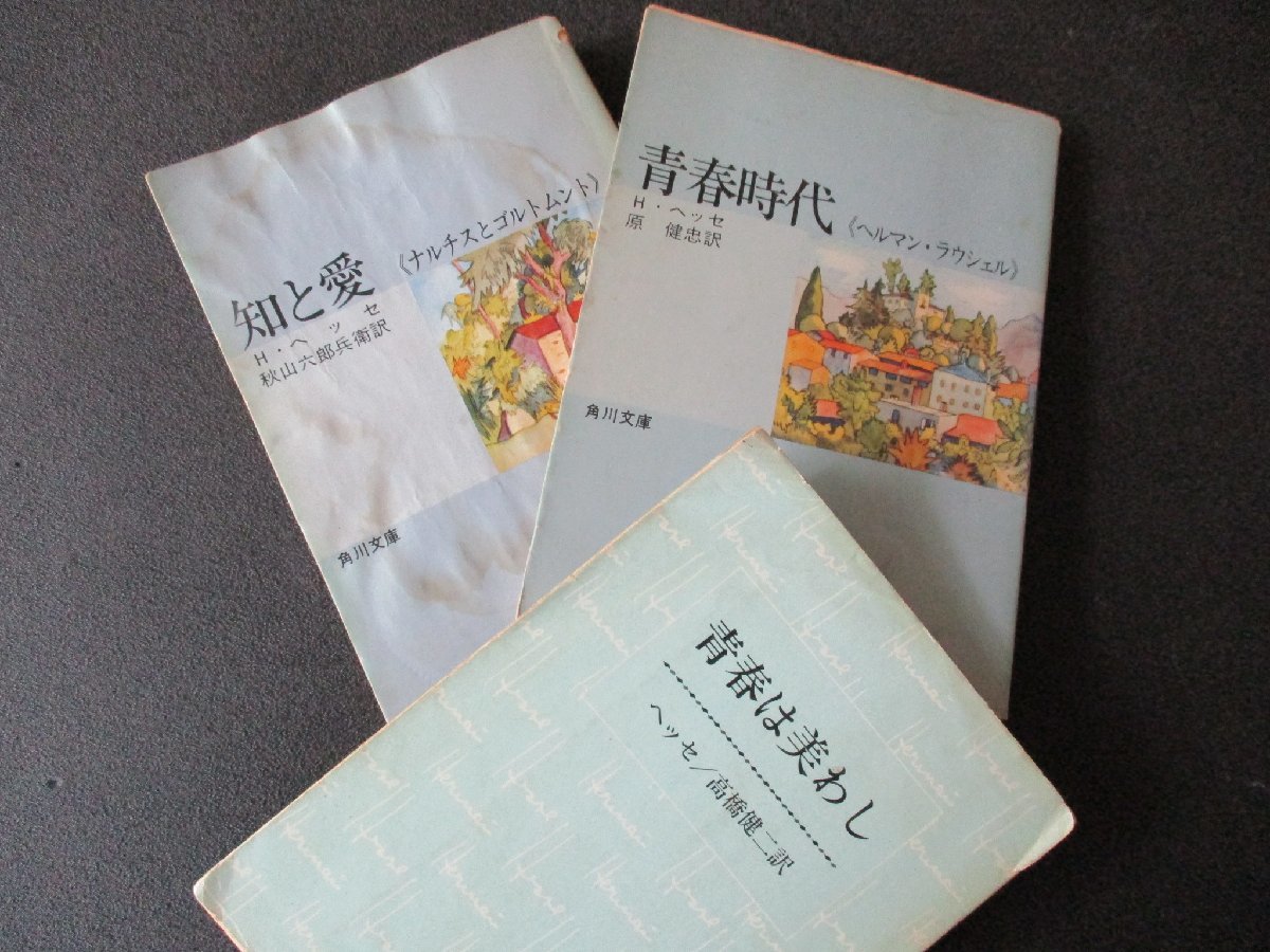 ★とちぎ屋!【ヘルマン・ヘッセ (青春は美わし・青春時代・知と愛)】3冊セット★拍卖
