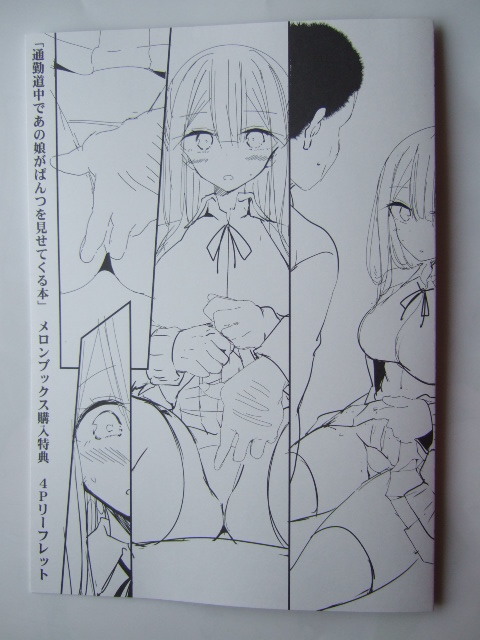 メロンブックス 限定 通勤道中であの娘がぱんつを見せてくる本 4Pリーフレット 230303 特典 melonbooks イラストペーパー リーフレット拍卖