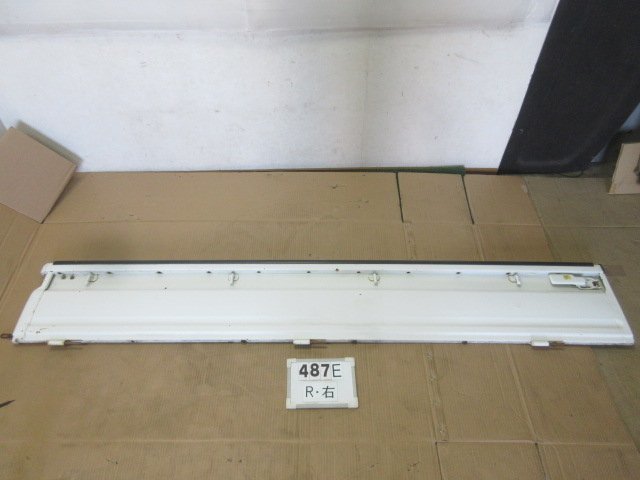 #487E アクティ トラック 後期 HA1 HA2 HA3 HA4 リア 右 運転席側 アオリ あおり サイドパネル NH528 Xサイズ拍卖