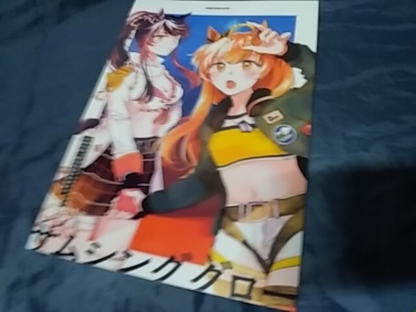 ウマ娘 サムシング グロー / よぬりめ マヤノトップガン ナリタブライアン拍卖