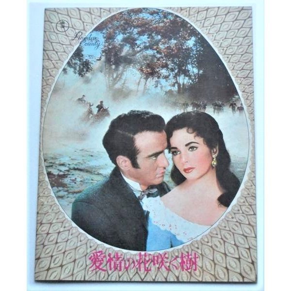 エリザベス・テイラー△愛情の花咲く樹:R版パンフレット/モンゴメリー・クリフト、エヴァ・マリー・セイント拍卖