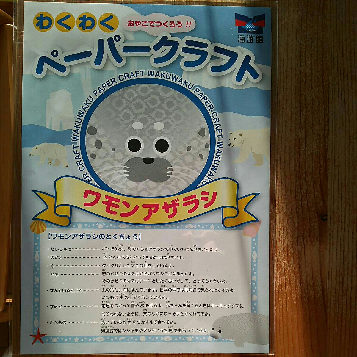 動物 ペーパークラフト 海遊館 ワモンアザラシ 工作拍卖