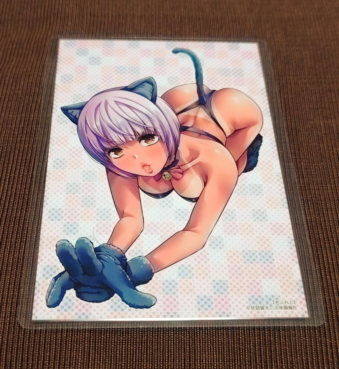 ♪『せふれ』♪3巻購入特典♪イラストカード♪甘詰留太♪ラミネート加工済み(説明欄必読)♪♪拍卖