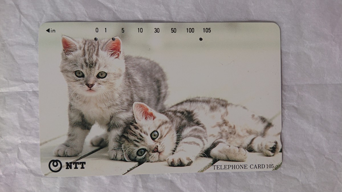 ★使用済み テレホンカード 子猫 テレカ テレフォンカード telephone card拍卖