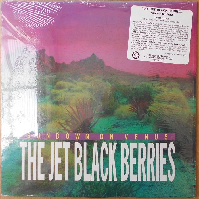 ■中古品■The Jet Black Berries ジェット・ブラック・ベリーズ/sundown on venus(USED LP)拍卖