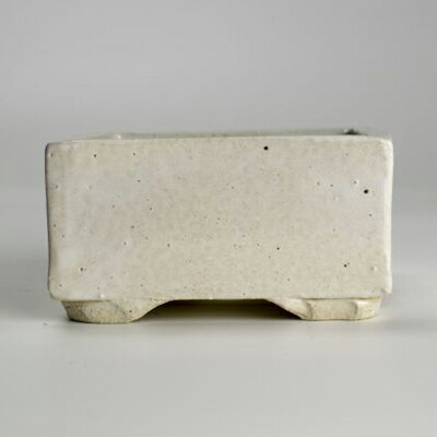 盆栽鉢 白 3号 正角鉢 幅12.5cm×高さ5cm 陶器拍卖