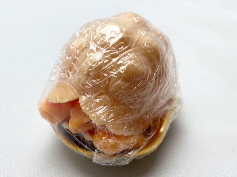 いきもの大図鑑 かめ06 ヒョウモンガメ(アルビノ成体) バンダイ ガチャガチャ 新品未使用品拍卖