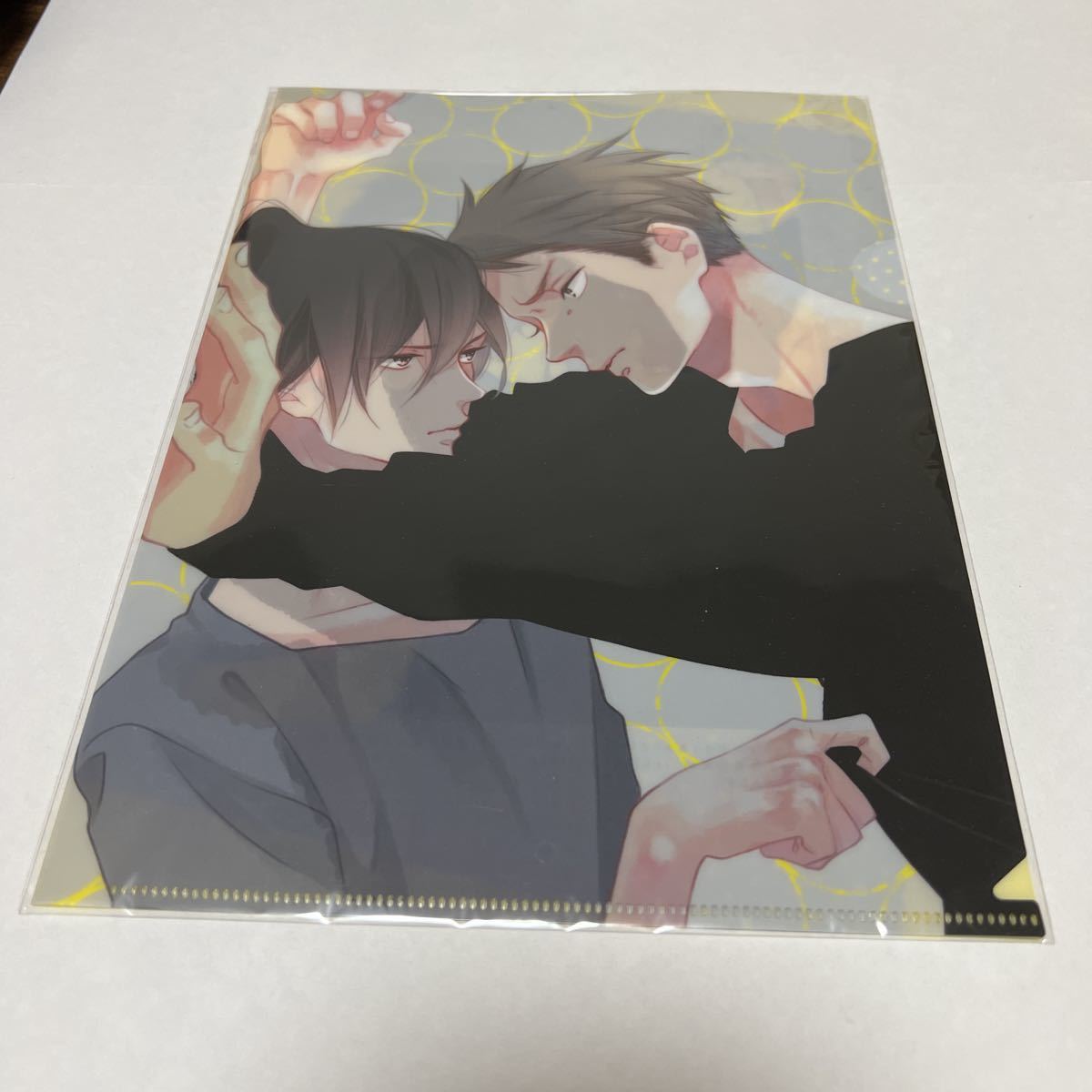 市川けい こいのこころのむこうがわ それを恋心と呼ぶのなら…クリアファイル拍卖