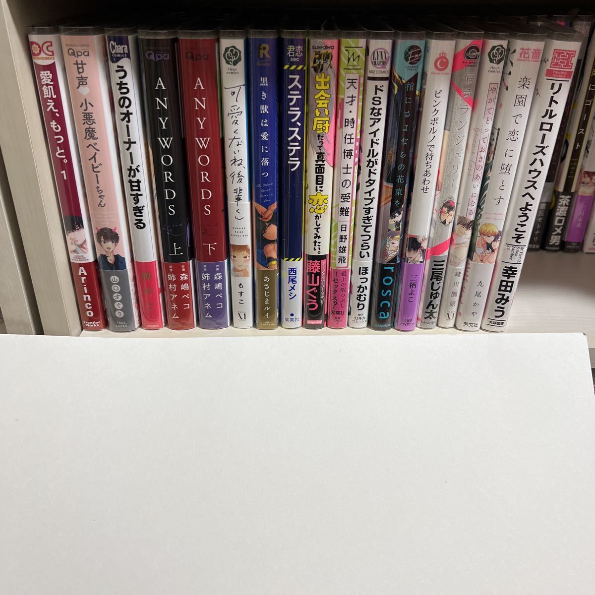 BL 17冊セット まとめ売り ②④ 【 変更あり 】拍卖