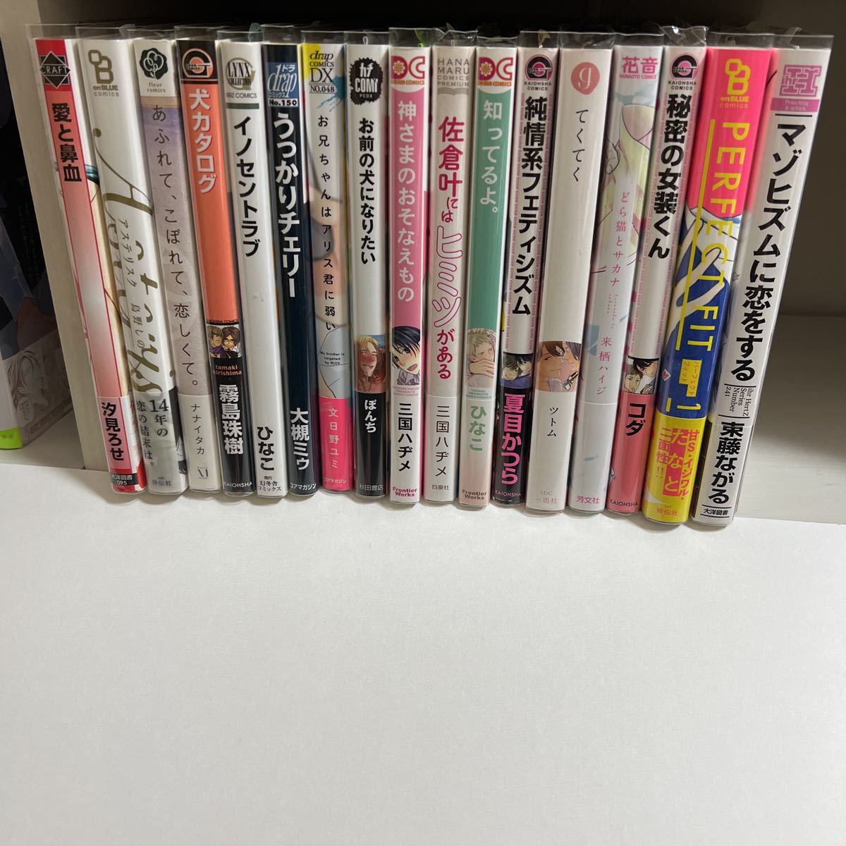 BL 17冊セット まとめ売り ⑥拍卖