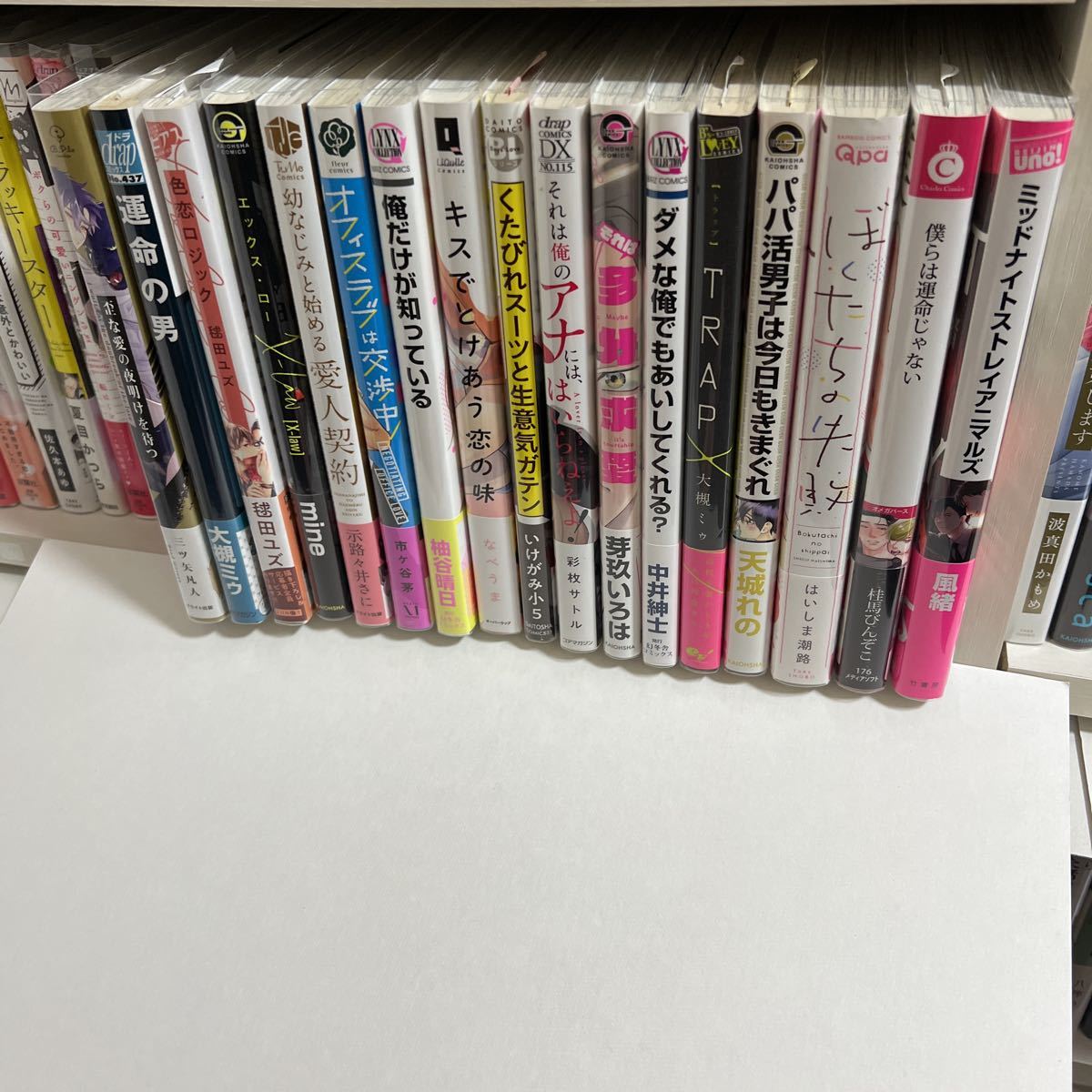 BL 17冊セット まとめ売り ①①【変更有り】拍卖