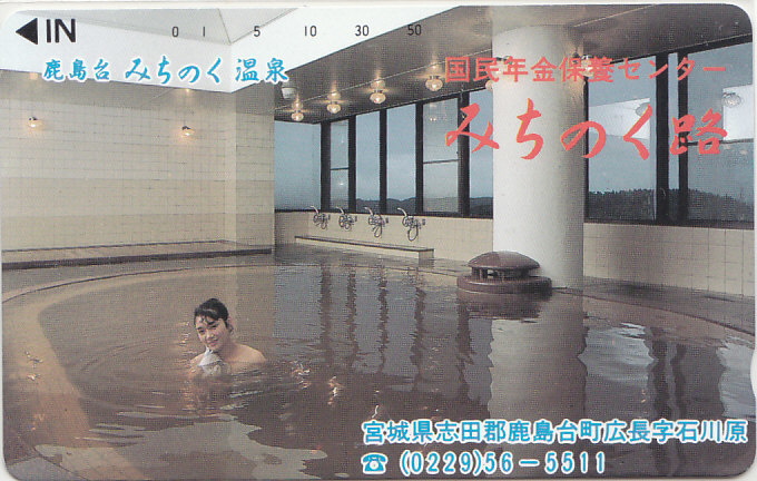 宮城 みちのく温泉 /女性入浴【テレカ】G.3.20 ★送料最安60円~拍卖