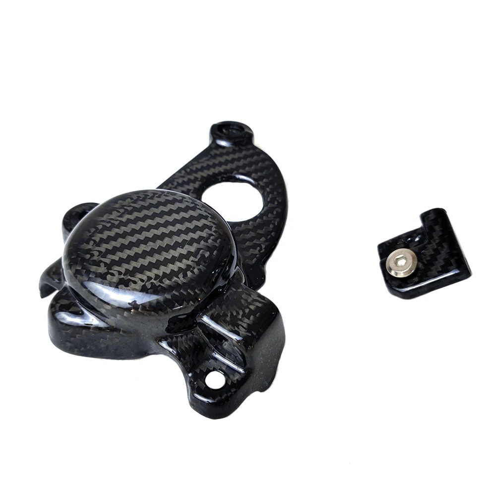 送料無料 BMW S1000RR 2019-2022 カーボンファイバー エンジンカバー 保護 カバー ガード拍卖