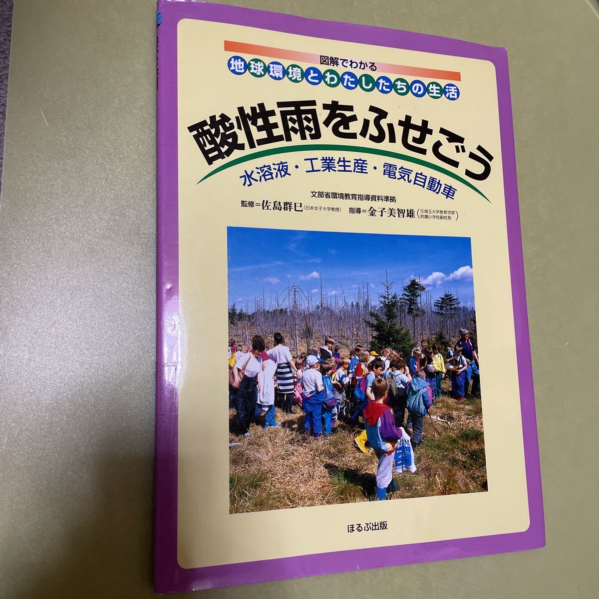 ◎児童書 酸性雨をふせごう 水溶液・工業生産・電気自動車 (図解でわかる地球環境とわたしたちの生活)拍卖