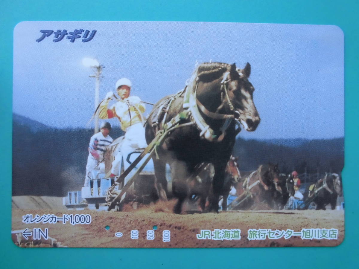 JR北 オレカ 使用済 ばんえい競馬 アサギリ 【送料無料】拍卖