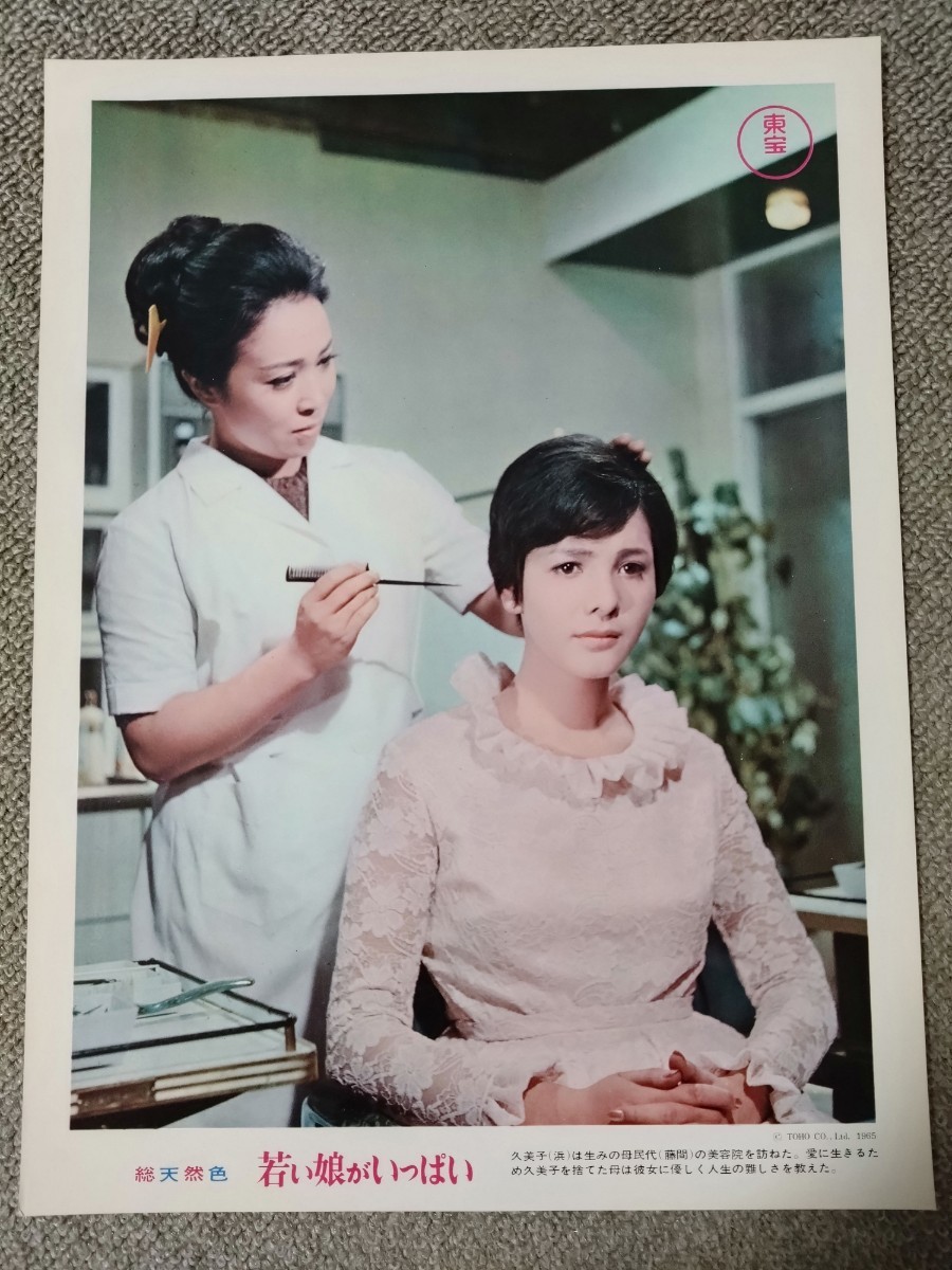 東宝映画「若い娘がいっぱい」ロビーカード1枚 浜美枝 藤間紫拍卖
