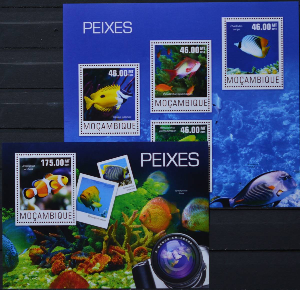 「FP15」モザンビーク切手 2014年 さかな拍卖