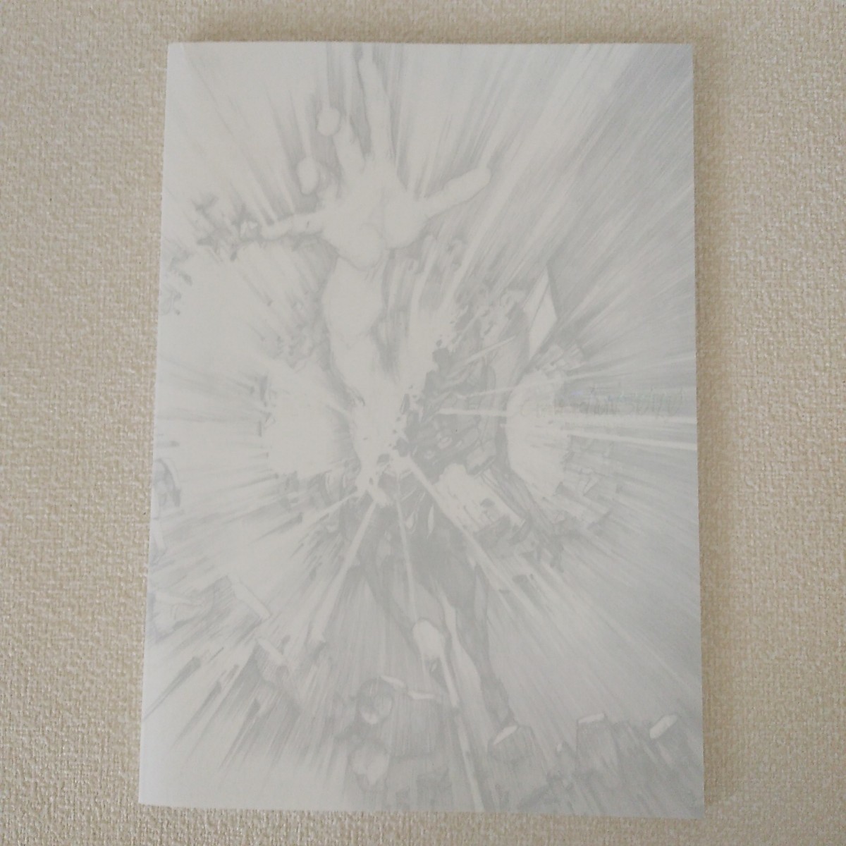 映画 パンフレット シン・エヴァンゲリオン劇場版 拍卖