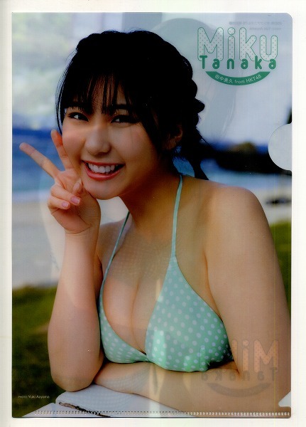 ヤングアニマル 2023年07号付録 田中美久 クリアファイル拍卖