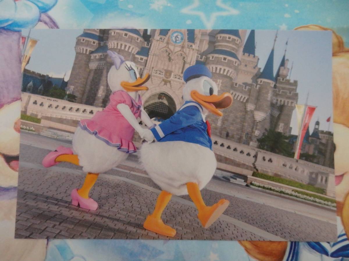 即決☆新品未使用☆限定 東京ディズニーランド シンデレラ城 ドナルド デイジー 実写 ポストカード 2018♪TDR TDL35周年 TDS拍卖
