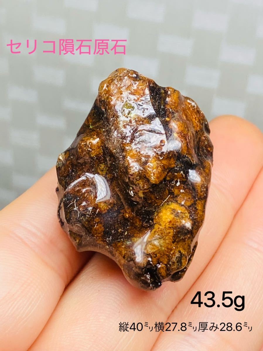 パラサイト隕石 43.5g 隕石 メテオライト セリコ隕石 希少 宇宙パワー セリコ隕石 高品質隕石 幸運 開運 浄化 仕事運 金運up 石鉄隕石拍卖