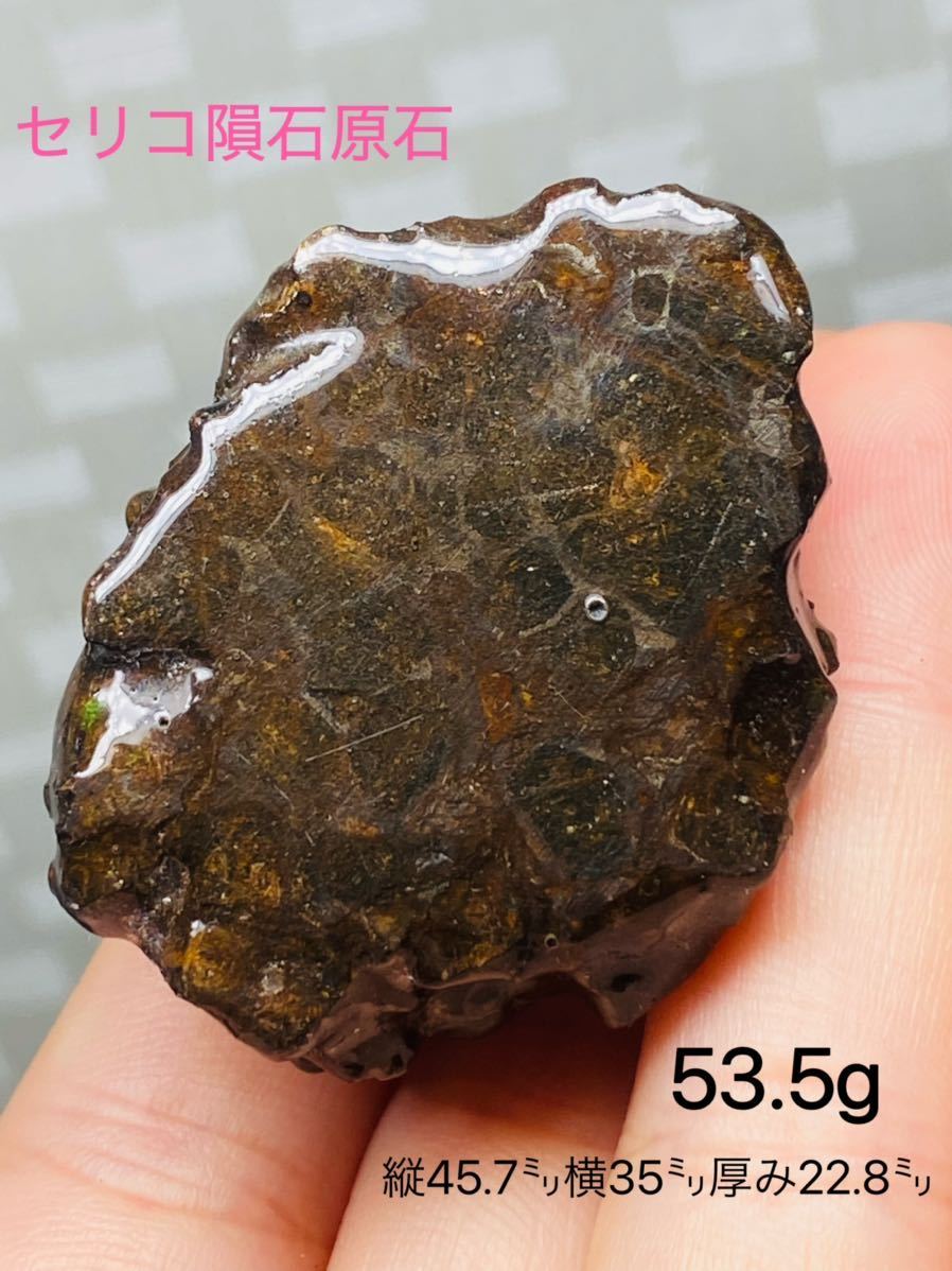 パラサイト隕石 53.5g 隕石 メテオライト セリコ隕石 希少 宇宙パワー セリコ隕石 高品質隕石 幸運 開運 浄化 仕事運 金運up拍卖