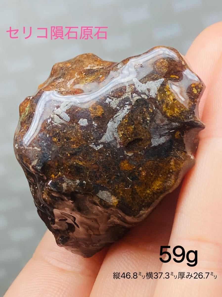 ★パラサイト隕石 59g 隕石 メテオライト セリコ隕石 希少 宇宙パワー セリコ隕石 高品質隕石 隕石拍卖