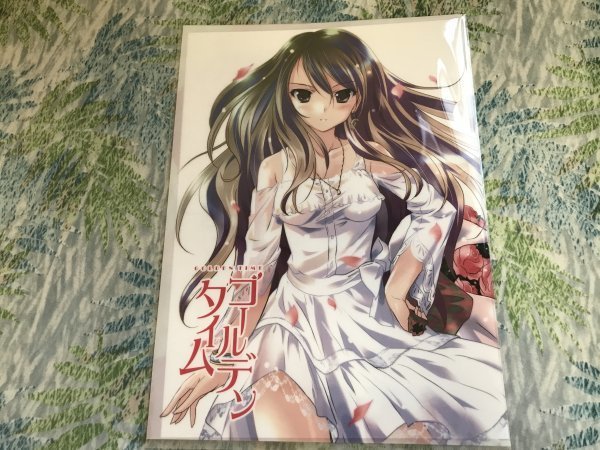 d116クリアファイル ゴールデンタイム 電撃屋 竹宮ゆゆこ 駒都えーじ こつえー拍卖