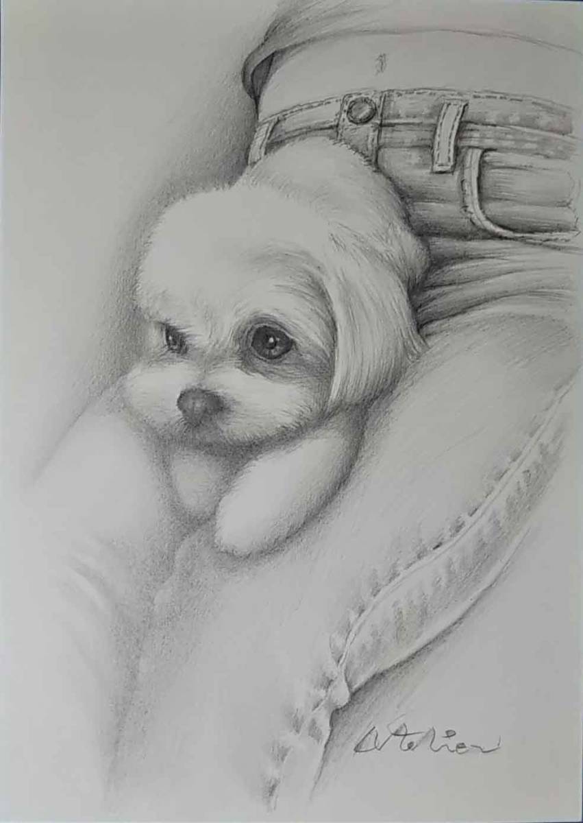 絵画・鉛筆画・動物画 犬の絵 真作「デニムとマルチーズ ma-2-2022」Atelier809 作 A4サイズ ※額縁無し。拍卖