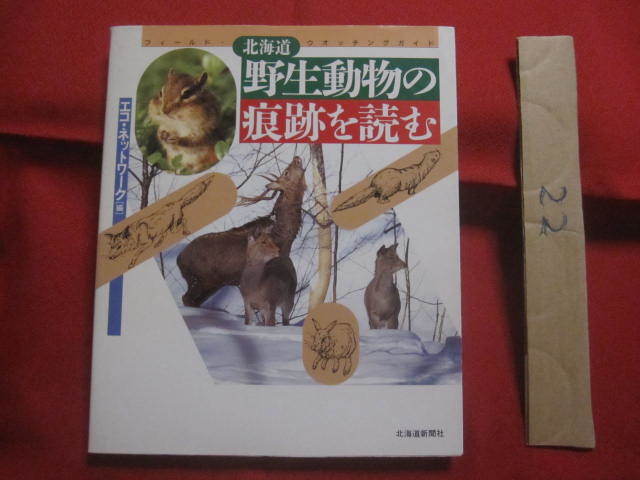 ☆北海道 野生動物の痕跡を読む  フィールド ・ ウオッチングガイド     エコ ・ ネットワーク 編      【自然・生物】拍卖