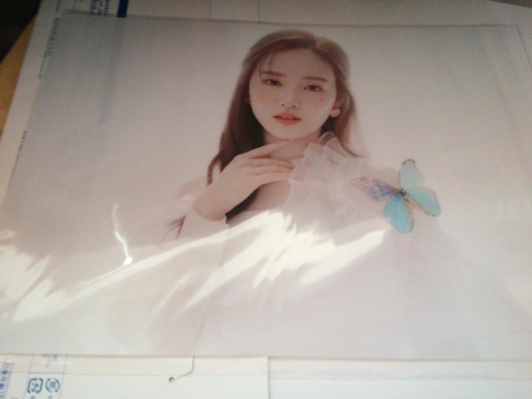 リオ 楽天ブックス Paradise NiziU 5th シングル クリアファイル 虹 ニジュー 店舗特典拍卖