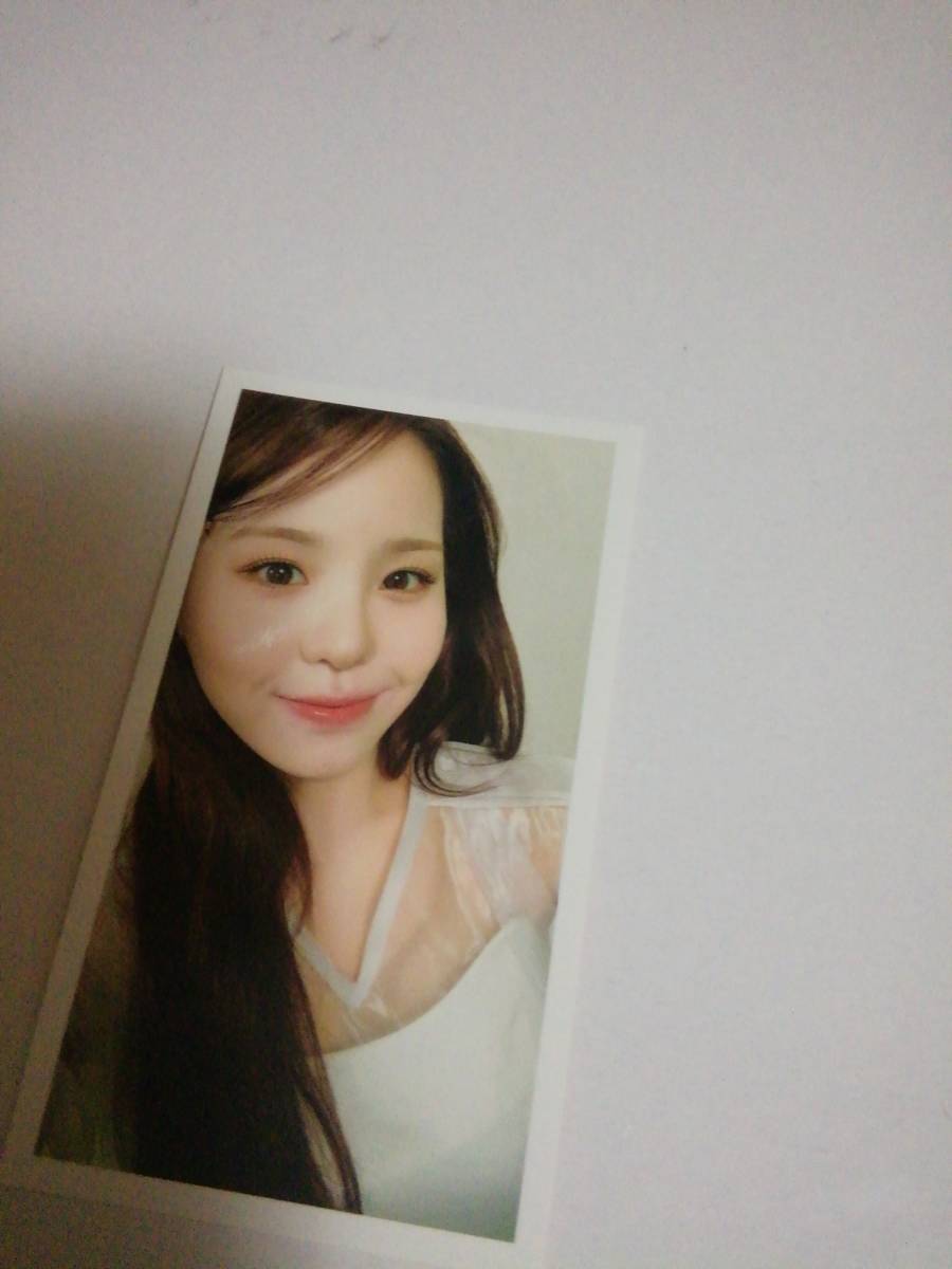 マコ トレカ 通常盤 Paradise NiziU 5th シングル 虹 ニジュー 封入特典 トレーディングカード拍卖