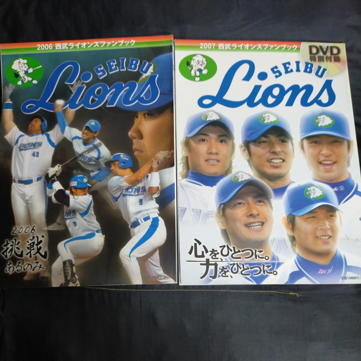 即決 西武ライオンズFANBOOKファンブック2006,2007,2010,2013〜2022全13冊拍卖