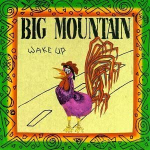 Wake Up ビッグ・マウンテン 輸入盤CD拍卖