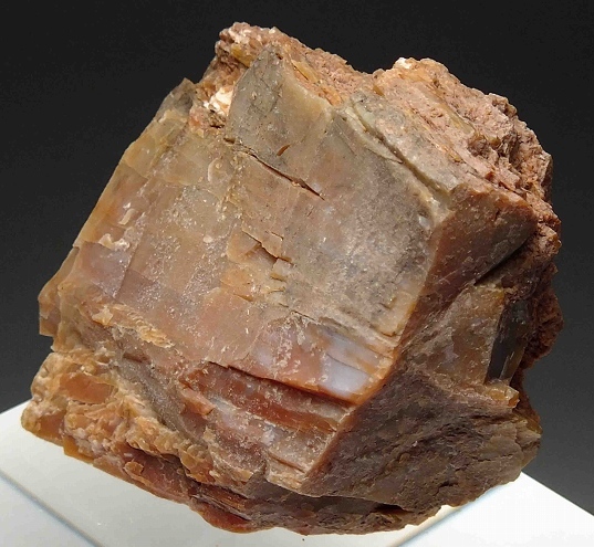 ☆☆ 珪化木 <アリゾナ州> 9 ☆☆拍卖