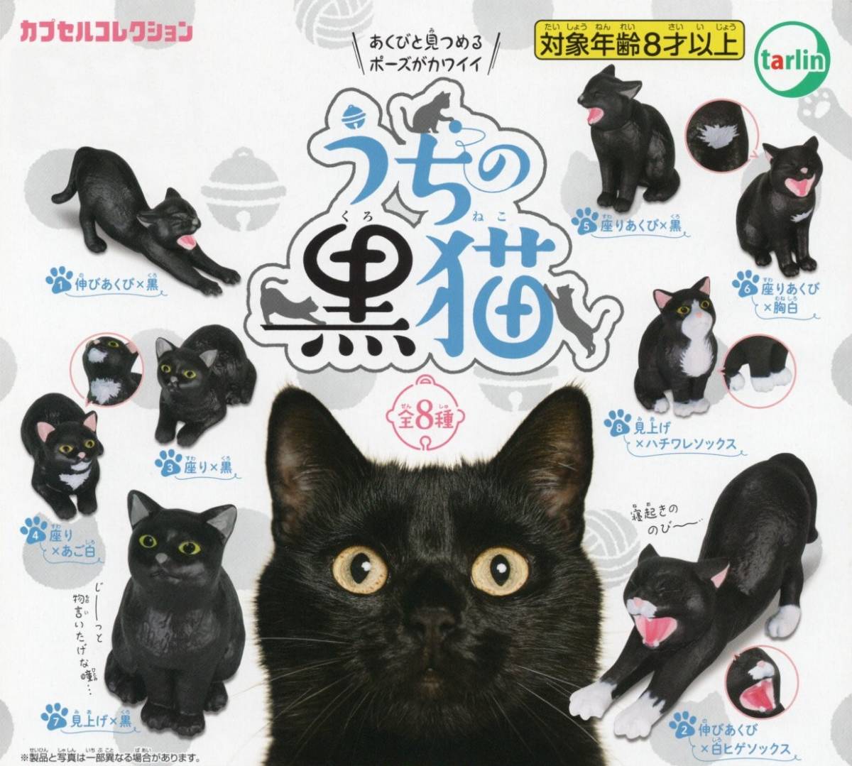♯ (台紙のみ) カプセルコレクション うちの黒猫 (台紙/POP) 非売品拍卖