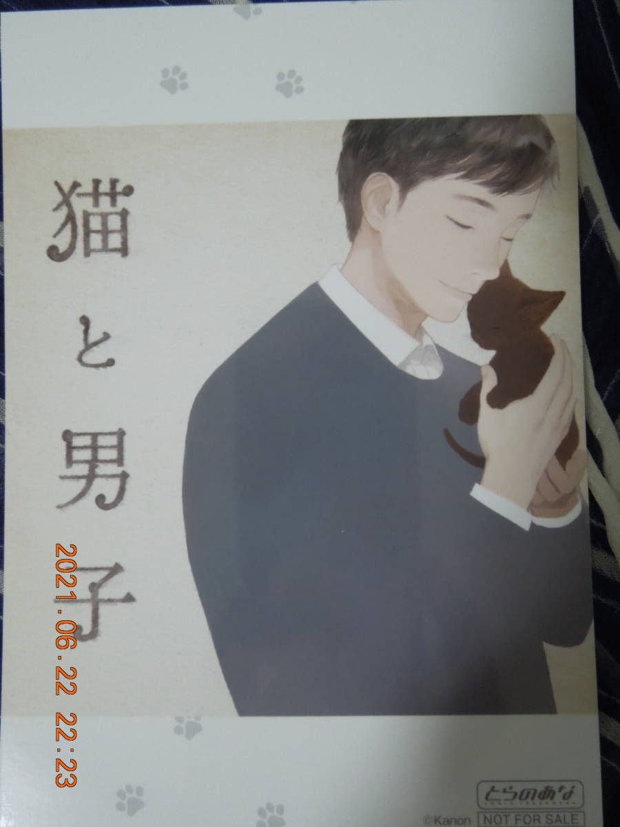 猫と男子 ブロマイド / 増田俊樹 / とらのあな特典 非売品拍卖