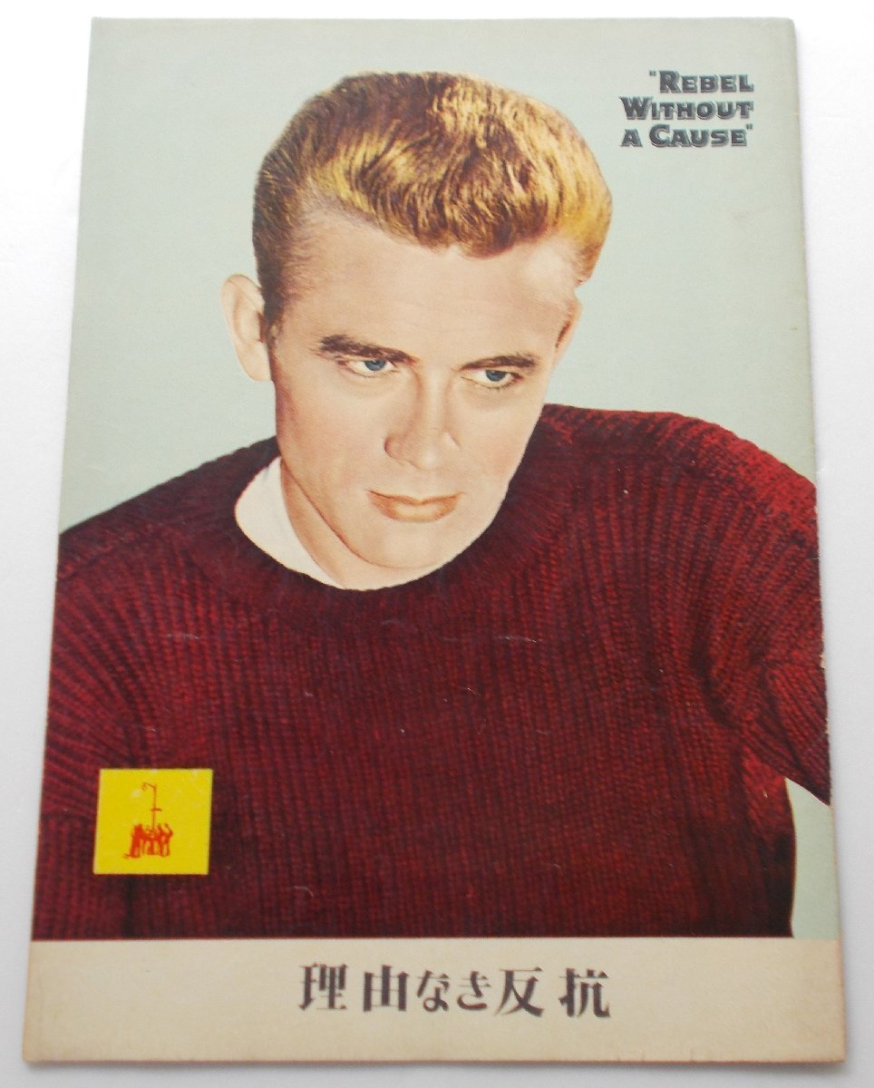 ジェームズ・ディーン▼理由なき反抗:パンフレット/ナタリー・ウッド、デニス・ホッパー ニコラス・レイ拍卖