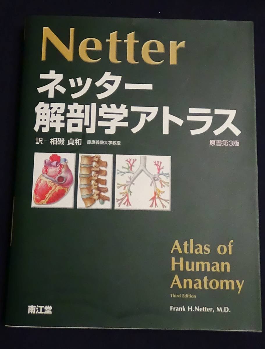 ネッター解剖学アトラス 相磯貞和訳 南江堂 2004/05 ヴォルフ人体解剖学アトラス 西村書店 1993 名著2冊 大型本拍卖