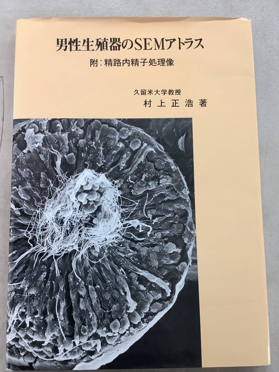 i604 男性生殖器のSEMアトラス 村上正浩 平成4年 久留米大学医学部第2解剖学教室 2Ha3拍卖