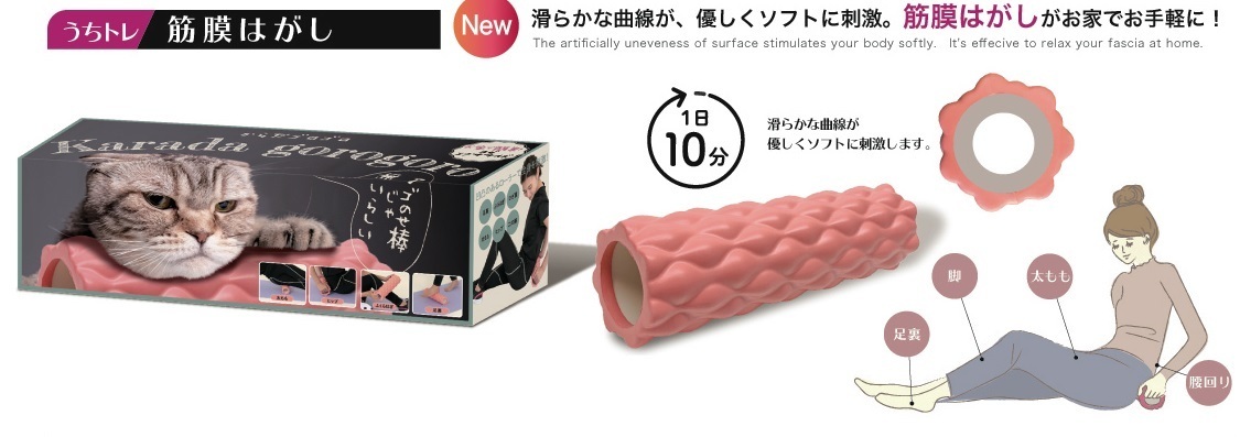からだゴロゴロ うちトレ 筋膜はがし エクササイズ シェイプ トレーニンググッズ レディース拍卖