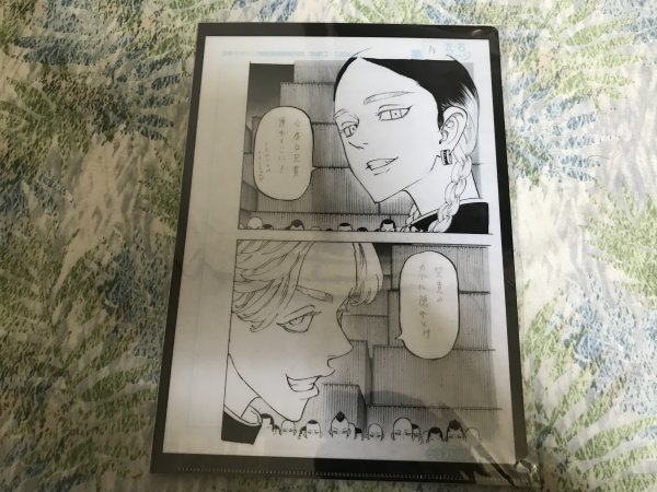 148クリアファイル 東京リベンジャーズ EXHIBITION 原画展  灰谷蘭 & 灰谷竜胆拍卖